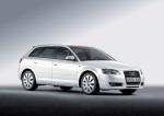 Audi A3 Sportback 1.9 TDI 2004 года (WW)